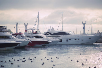 Yachts on the pier in the port in cloudy weather 