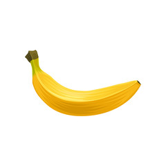 Colorful icon of yellow banana. Juicy tropical fruit. Concept of vegetarian nutrition. Organic product. Sweet and healthy food. Detailed flat vector illustration