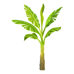 Cartoon illustration of banana palm. Tree with big bright green leaves. Tropical plant. Graphic design element for infographic. Detailed flat vector icon