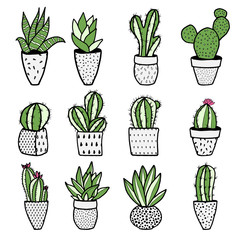 Set of different kinds of cactuses in flower pots. Sketchy vector pattern.
