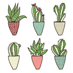Set of different kinds of cactuses in flower pots. Sketchy vector pattern.