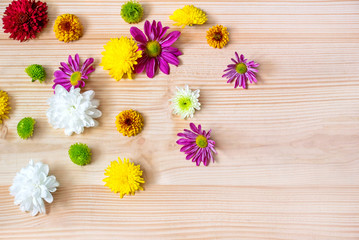 Photo of the flower buds on a wooden background