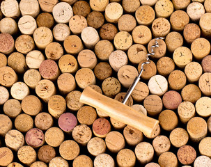  bottle of wine with corks on wooden table background