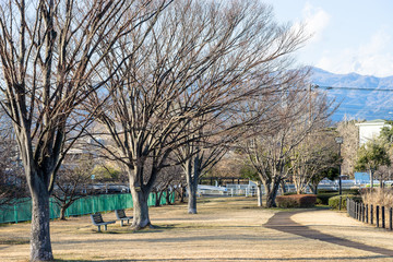 冬の門池公園