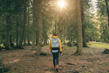 Young woman walking in the coniferous forest.