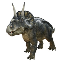 3D Rendering Dinosaur Diceratops on White