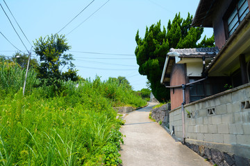 田舎町の裏道