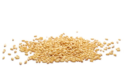 Wheat grains, pile isolated on white background