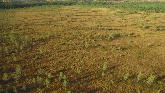 Treeless bog in Finland aerial tilt shot