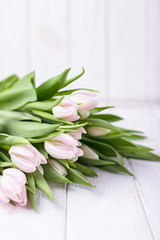 Spring is coming. Beautiful spring flowers pink tulips on a white background. Free space