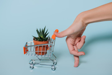 close-up partial view of human hand and shopping trolley with succulent in pot on grey