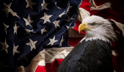 Fototapete Adler Amerikanischer Weißkopfseeadler mit Flagge.