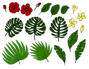 tropic flowers and palm leaves