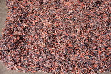éclats de savon colorés