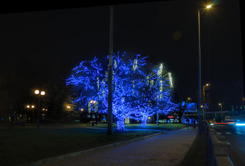 trees decorated for the holiday