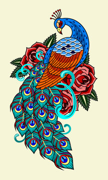 Peacock and roses, old school tattoo image