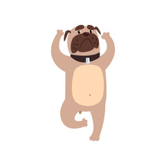 French bulldog standing in tree or vrishasana exercise, funny dog practicing yoga cartoon vector Illustration on a white background