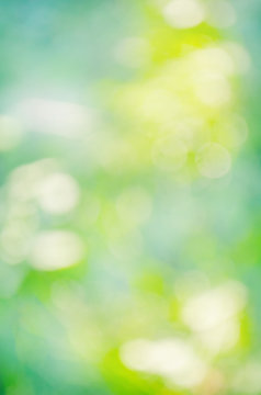 Abstract Bokeh And Blurred Green Nature Background