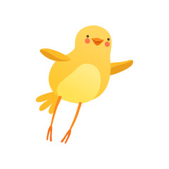 Cute baby chicken trying to fly, funny cartoon bird character vector Illustration on a white background