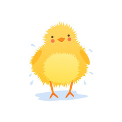 Cute baby chicken shaking water after bathing,, funny cartoon bird character vector Illustration on a white background