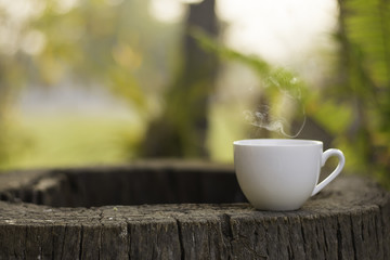 Morning coffee in garden.