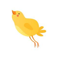 Cute happy baby chicken, funny cartoon bird character vector Illustration on a white background
