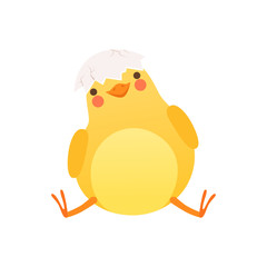 Cute baby chicken sitting with shell in its head, funny cartoon bird character vector Illustration isolated on a white background