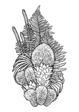 Graphic prehistoric plants