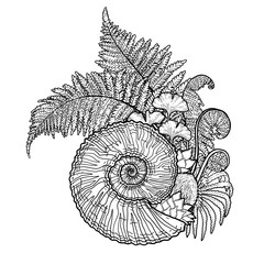 Obraz premium Prehistoric graphic seashell and fern branches