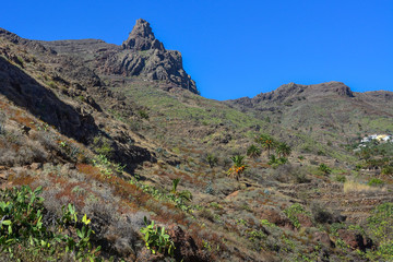 Spain Gomera island Barranco de Guarimiar