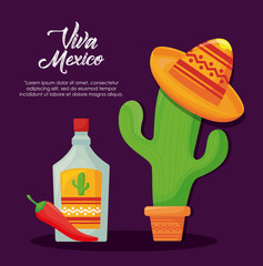 Viva mexico design