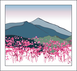 Landscape of South Korea. Korean mountains. Blooming azalea in the mountains. Chirisan Mountains
