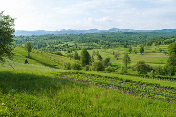 Fototapeta na wymiar Rural landscape in the Maramures countryside, Romania