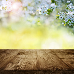 Naklejka na ściany i meble Cherry blossoms in garden with wooden table