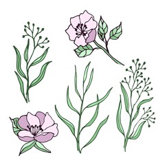 Spring flowers and leaves set of drawings. Ideal for using in wedding invitation designs.