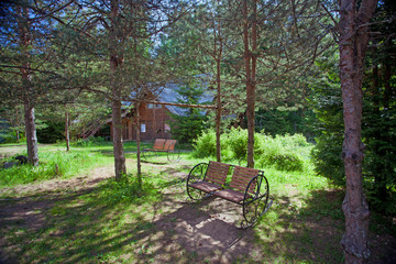 Fototapeta na wymiar Benches and rural wooden house in the pine forest