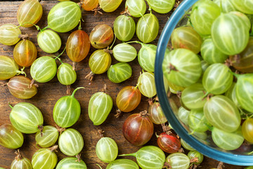 lot of gooseberry is scattered