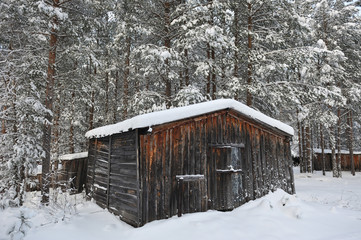 Barn in forest.