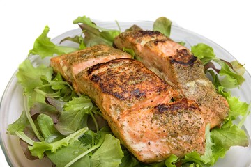 Grilled salmon on salad