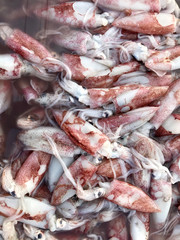 Seafood sales at the market in Thailand. Fresh Squid.