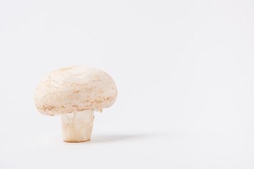raw champignon mushroom laying on white background