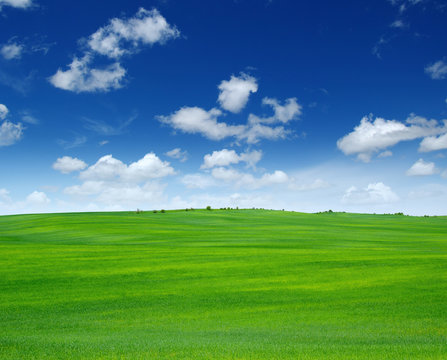  field and sky