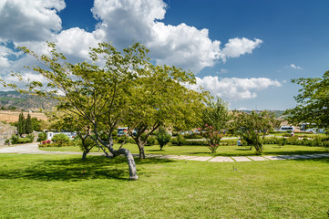 Fototapete bei efototapeten.de bestellen   