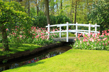 Frühling im Keukenhof in Lisse, Holland