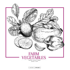 Hand drawn farm vegetables. Beetroot, zuchini, bell pepper, spinach, onion. Vector engraved illustration. Farmers market plants. For restaurant, menu, food shop flyer, banner. Vintage set