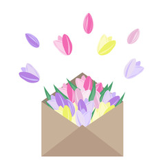 Vector flowers in envelope. Pink, yellow and purple tulips in paper envelope.