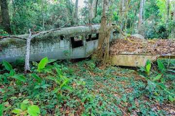 Airplane in the jungle of Surinam