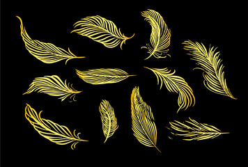 Collection of hand drawn feather. Set of decorative animals birds feathers. Hand drawn vector art. Brush pen gold ink illustration