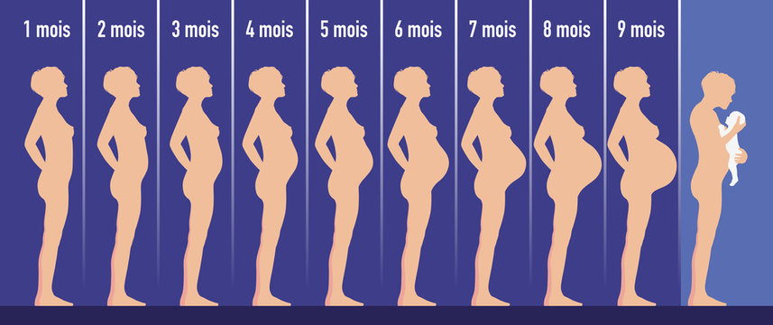 enceinte - grossesse - femme enceinte - maternité - naissance - bébé - accouchement - femme