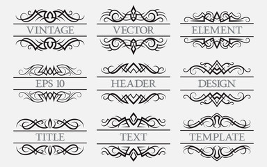 Vintage elements with a header field. Set of titles decorations.